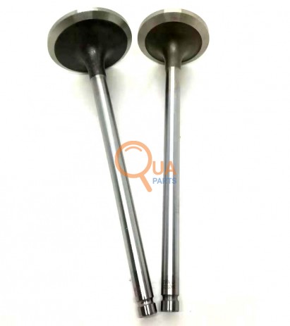 3802813 Temsa Valve